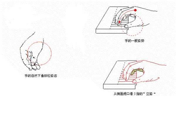 初学钢琴的8个指法图图片