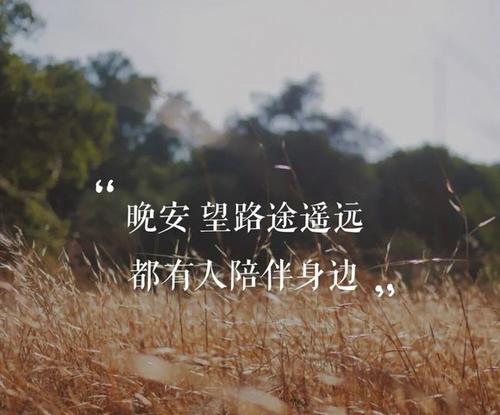 适合发朋友圈的晚安文案