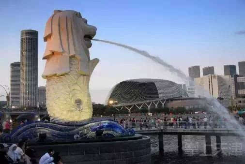 黑金鱼代表什么寓意图片