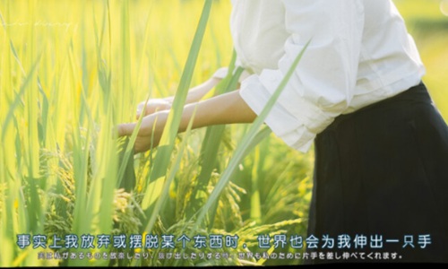写给心累的自己，一句话让人泪崩无法自拔！图片