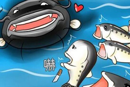 鲶鱼效应什么意思 三个生活中的例子带来启示图片