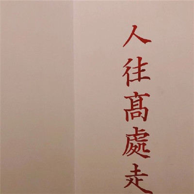 男人最招财的微信头像15张图片