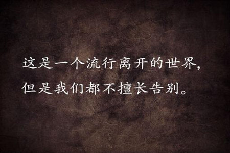 最美的歌词有哪些呢？看看网友们的分享图片