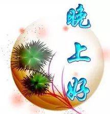 怎么调皮的给男朋友说晚安