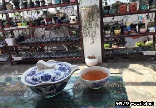 1000种多肉植物图鉴图片