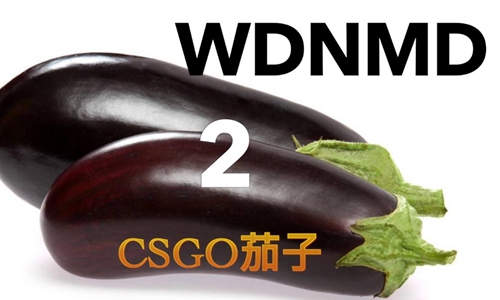 wdnmd什么意思 wdnmd可以翻译哪些中文图片
