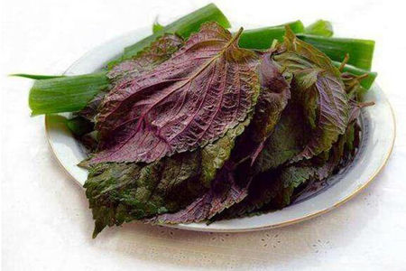如何预防癌症?这些致癌植物要当心图片
