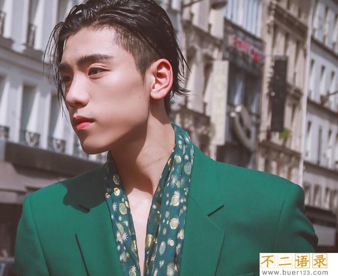 王子异的家庭背景 王子异的爸爸是谁揭露他家雄厚背景太土豪了图片