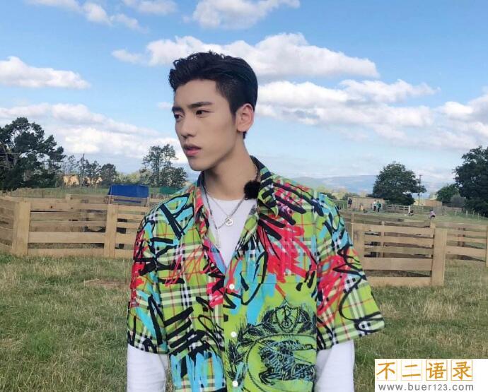 王子异的家庭背景 王子异的爸爸是谁揭露他家雄厚背景太土豪了图片
