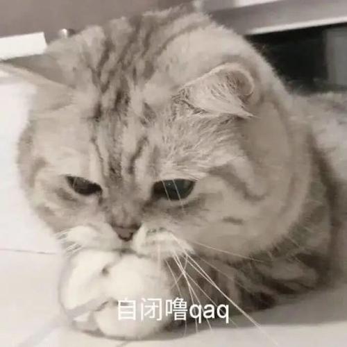 超级温柔的晚安文案图片