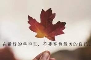 深夜鸡汤 晚安简短图片