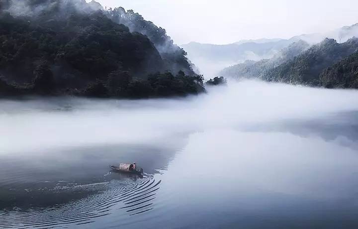 真正有智慧人的表现图片