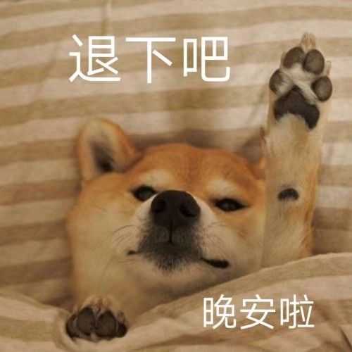 晚安激励人心的句子