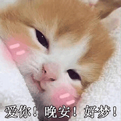 幼儿园班级群晚安心语