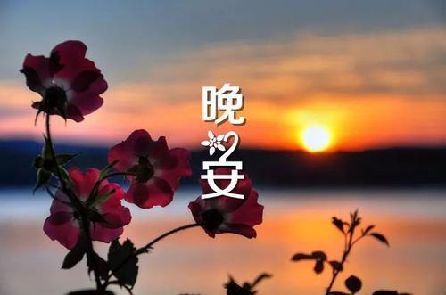 正能量的句子经典晚安语句图片