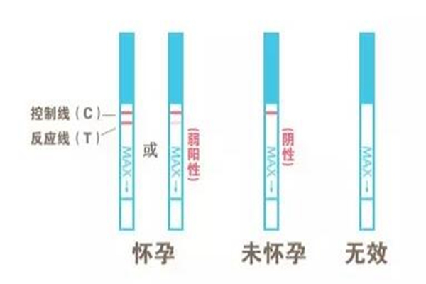 验孕棒怎么用一浅一深啥意思 验孕棒什么时候测最准图片