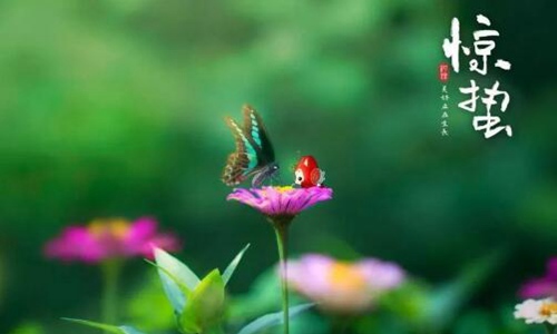 惊蛰是什么意思代表什么？惊蛰节气的特点和风俗图片