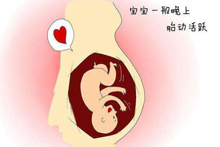 怀孕几个月有胎动？真相让人感到意外图片