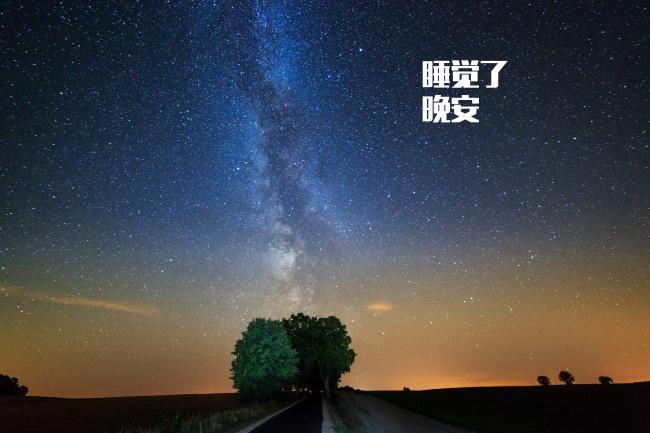 晚安表达爱的句子