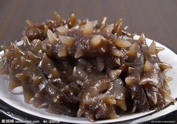 开袋即食的海参怎样吃图片