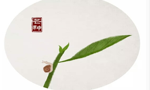 2020年芒种是几月几号？芒种是什么意思芒种养生不可不知图片