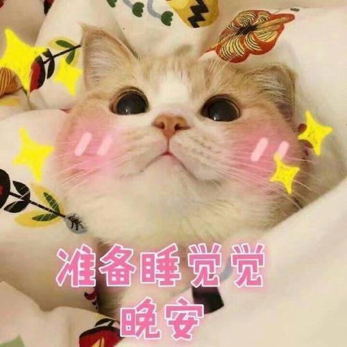 超可爱的晚安语图片
