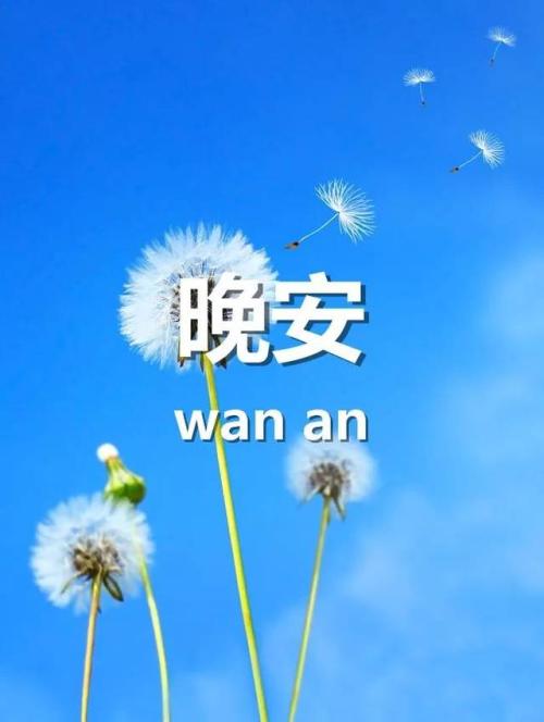 温暖晚安心一句话图片