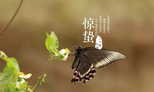 惊蛰是什么意思代表什么？惊蛰节气的特点和风俗
