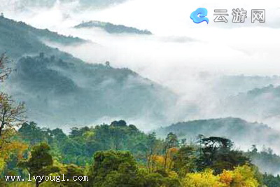 去厦门必玩的十大景点图片