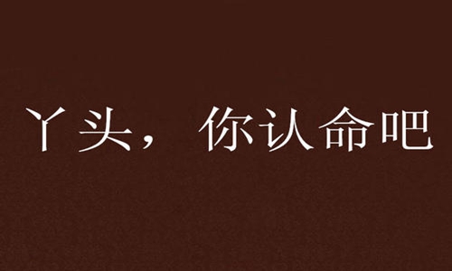 丫头文学是什么梗 丫头文学经典语录有画面感了