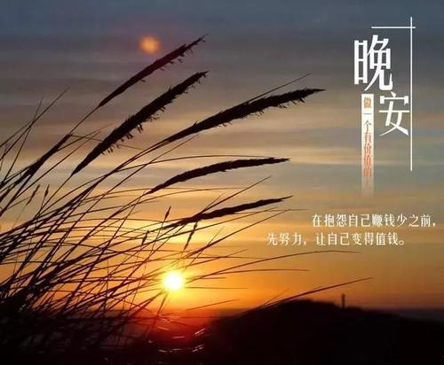 不想说晚安用什么代替图片