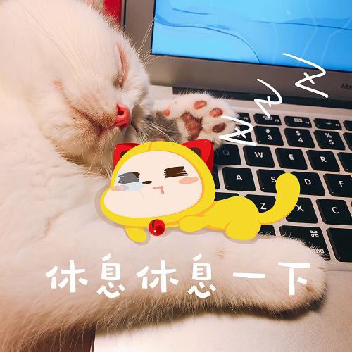 给喜欢的人晚安的留言的句子图片