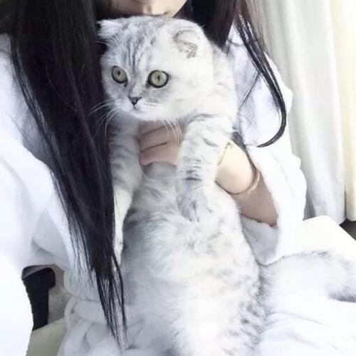 2021正能量奋斗的句子晚安图片
