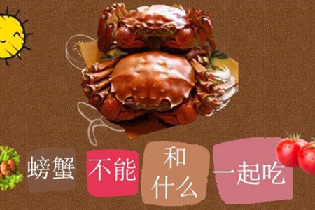 螃蟹不能和什么一起吃 牢记吃螃蟹的禁忌避开相克食物图片