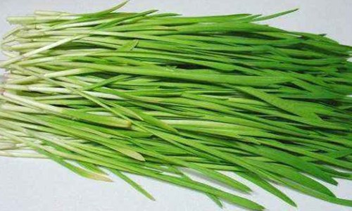 古时僧人“不沾荤腥”“荤”最初指的是？蚂蚁庄园9月3日答案图片