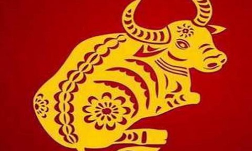 2021年是什么年？属牛的人在2021年运势如何？图片