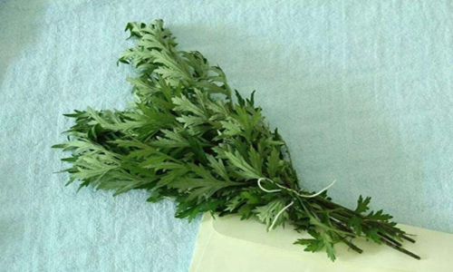 艾草的功效与作用，艾草这样吃才能有效发挥作用