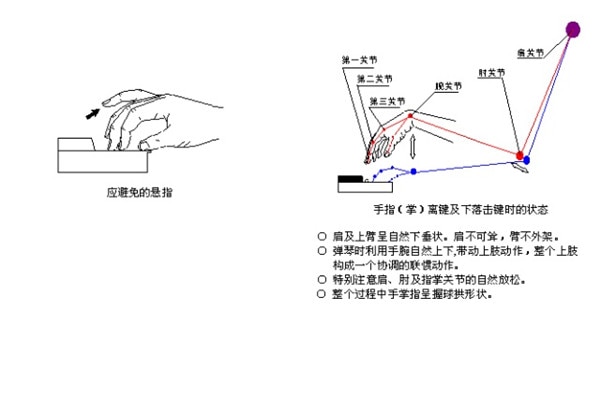 初学钢琴的8个指法图图片