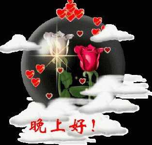 怎样说晚安显得幽默可爱