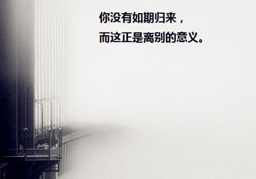 感慨人生的句子 社会 深夜