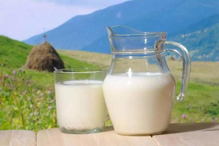 缺钙吃什么？推荐几种含钙高的食物图片