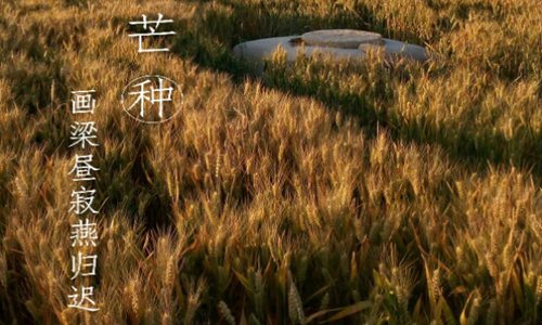 2020年芒种是几月几号？芒种是什么意思芒种养生不可不知