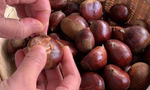 板栗怎么去皮和壳，教你一个小窍门去壳快易保存图片