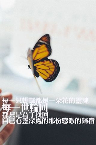 关于晚安的图片和励志的话语
