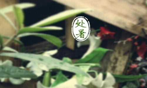 处暑是什么意思？处暑节气养生常识避免多事之秋图片