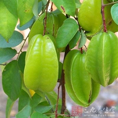 杨桃怎么吃有什么禁忌图片