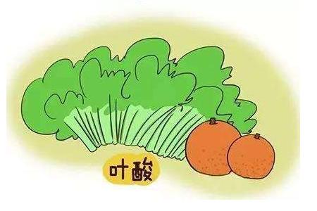 怀孕前如何吃的更营养 孕前饮食的注意事项图片