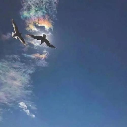 送给自己晚安的说说感悟心情句子