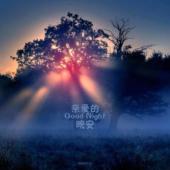 恋人晚安留言