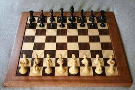 国际象棋的玩法简介（二） 棋子相关规则